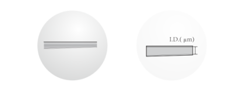 Microscope details 1